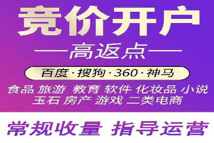 百度竞价代理技巧：经典成功案例解析